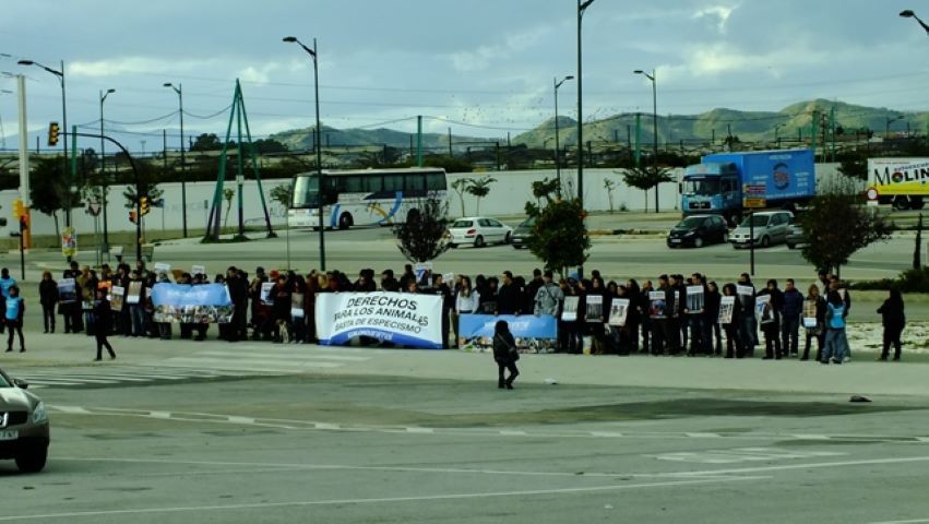 200 activistas de Igualdad Animal se manifiestan frente al Circo Berlín. - Diario Alhaurín 200 activistas de Igualdad Animal se manifiestan frente al Circo Berlín. - Diario Alhaurín