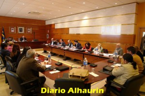 Pleno ordinario marzo (Copy)