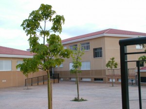 colegiotorremolinos (Copy)