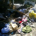 Balance positivo del servicio de foto-denuncias de ELECTORES