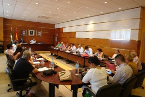 Pleno1