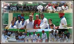 takwondo