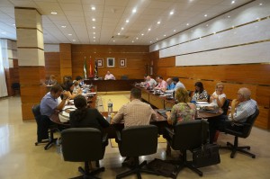 Pleno octubre 2014_2