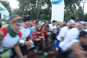 IMG_1061 (Small)