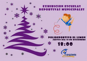 EXHIBICION NAVIDAD-1 (Small)