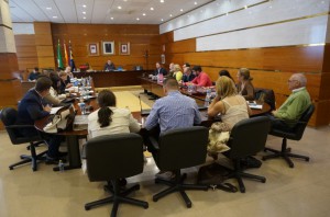 Pleno marzo1 (Small)