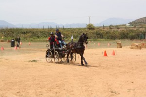 concurso enganches2 (Mobile)