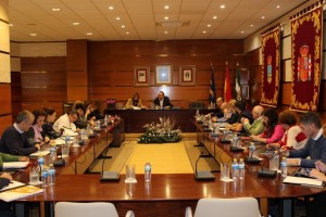 pleno extraordinario12016