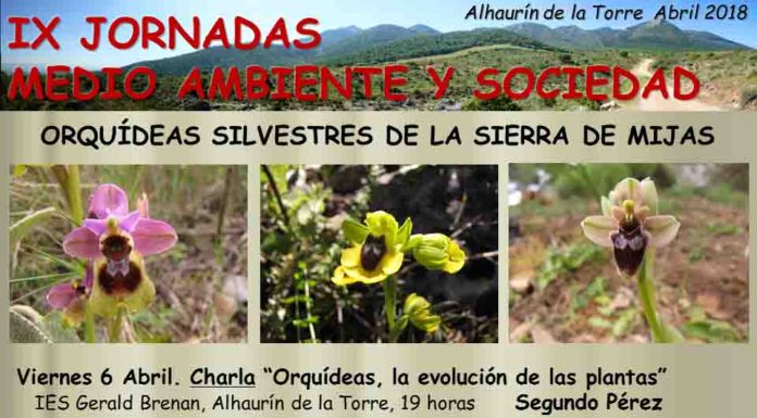 IX Jornadas de Medio Ambiente y Sociedad