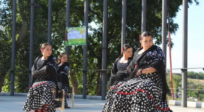 Escolares de Alhaurín demuestran su arte y talento en el IV Festival Solidario de Primavera