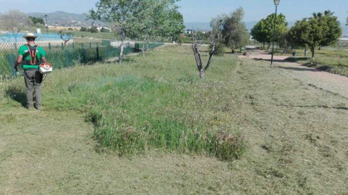 limpieza parcela parque Retamar II