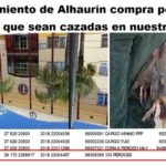 (A. D.) El Ayuntamiento de Alhaurín (PP) compra perdices vivas para que sean cazadas en la Sierra
