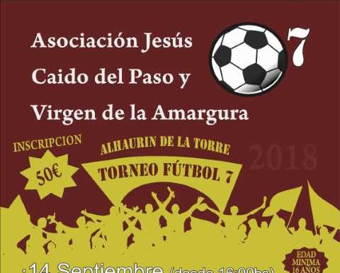 Torneo de fútbol 7