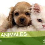 Mas de 2000 personas piden implantar el sacrificio cero en Alhaurin de la Torre