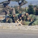 Grupo Municipal AAT: » Obras son amores, y no buenas razones».