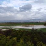 «El Disparate de La Ciudad Aeroportuaria»