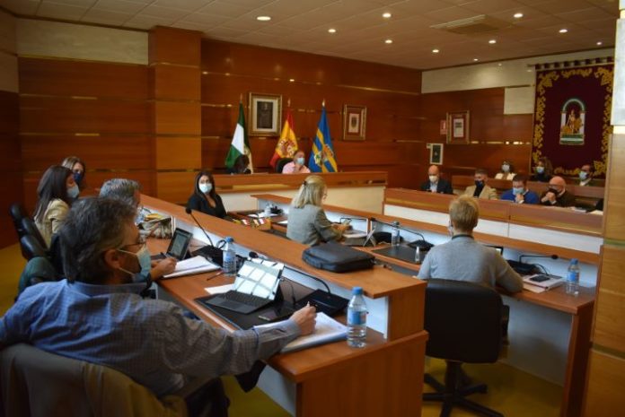 pleno ordinario noviembre 2020