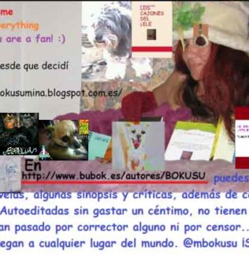 Novedades con respecto a las novelas de M.B.M.
