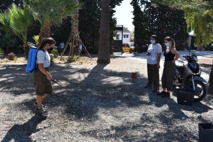 prácticas poefe jardinería