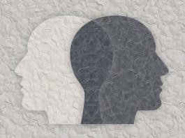 Artículo 5.392º: “La señora Gisèle Pelicot ha escrito un libro”