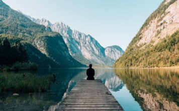 Algo más que Palabras: Nuestro Patrimonio Natural: La inmensa virtud de la vida campestre