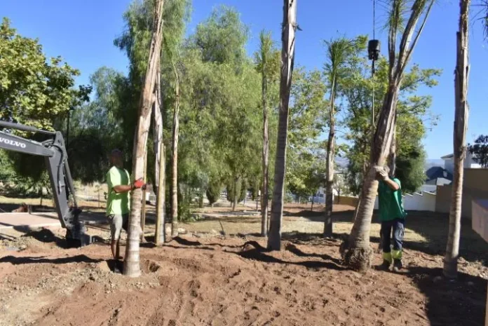 parque de retamar II plantacion arboles_3_result
