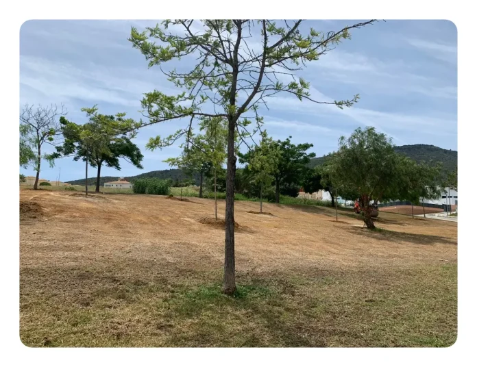 zona verde santa clara_09_13_2023