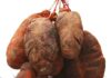 Artículo Periodístico 3.928º: “Gastrocultura: Botillo de El Bierzo/León”