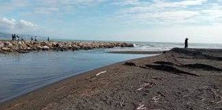 La Junta Andalucía informa sobre los peces atrapados en la desembocadura del Guadalhorce