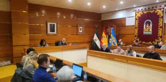 El Ayuntamiento de Alhaurín de la Torre da luz verde al suelo para dos nuevos hoteles