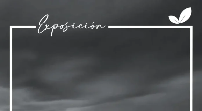 La muestra fotográfica ‘¡Oh, cielos!’, de Francisco Roldán, se inaugura el jueves, día 7, en El Portón 