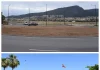 Dos árboles de gran porte embellecerán La Travesía Urbana y la Avenida de las Américas en Alhaurín de la Torre