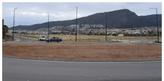 Dos árboles de gran porte embellecerán La Travesía Urbana y la Avenida de las Américas en Alhaurín de la Torre
