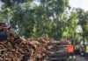 La Junta revalida la certificación en gestión forestal sostenible en 60.433 hectáreas de monte público