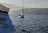 El diosa Maat y las rosas en el mar Por Moisés S. Palmero Aranda, Educador ambiental