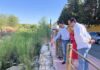 El PSOE exige a Ayuntamiento y Junta “acciones contundentes” contra el mosquito que transmite el virus del Nilo