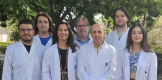 Investigadores de IBIMA Plataforma BIONAND y la UMA avanzan en la terapia celular para el tratamiento de la hidrocefalia poshemorrágica en neonatos
