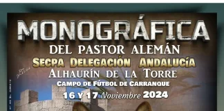 Cerca de 250 ejemplares participarán en una exposición monográfica del pastor alemán