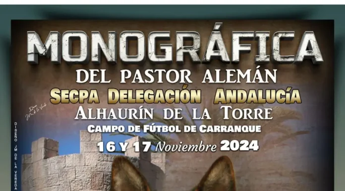 Cerca de 250 ejemplares participarán en una exposición monográfica del pastor alemán