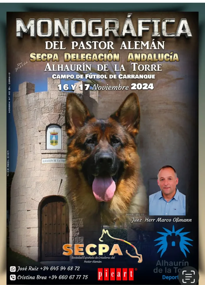 Cerca de 250 ejemplares participarán en una exposición monográfica del pastor alemán