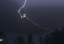 Los beneficios ocultos de las lluvias y tormentas eléctricas para nuestras plantas