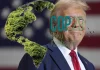 La COP29 y Trump el negacionista por Moisés S. Palmero Aranda. Educador ambiental