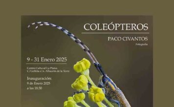 Alhaurín de la Torre inaugura el 2025 con la exposición fotográfica «Coleópteros» de Paco Civantos