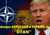 Trump debería aprender de Napoleón