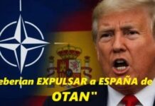 Trump debería aprender de Napoleón