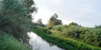 El Corredor Verde del Guadalhorce avanza con dos nuevos proyectos en Alhaurín de la Torre y Pizarra financiados por la Diputación con 568.000 euros