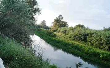 El Corredor Verde del Guadalhorce avanza con dos nuevos proyectos en Alhaurín de la Torre y Pizarra financiados por la Diputación con 568.000 euros