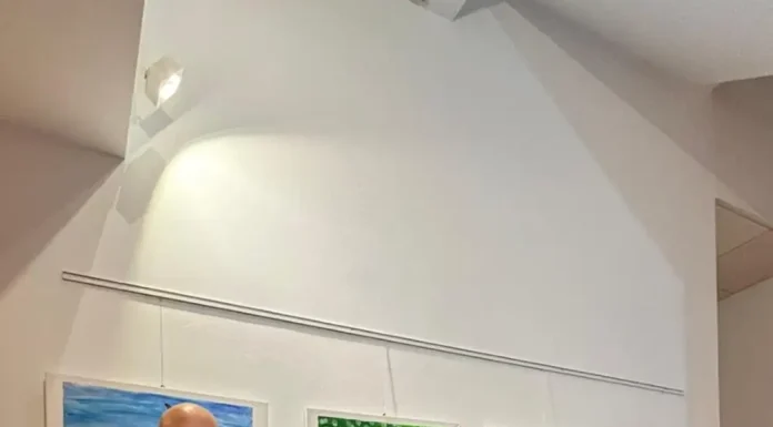 La Platea acoge una exposición de la artista Rosa Nogales