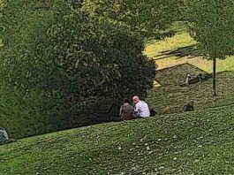 Artículo 5.207º: “Las castañeras, los Santos y los adolescentes”