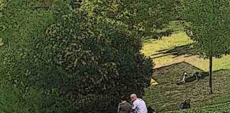 Artículo 5.207º: “Las castañeras, los Santos y los adolescentes”